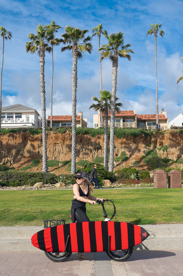 Explorer Surfboard Sock